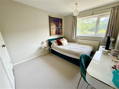 Picture 16